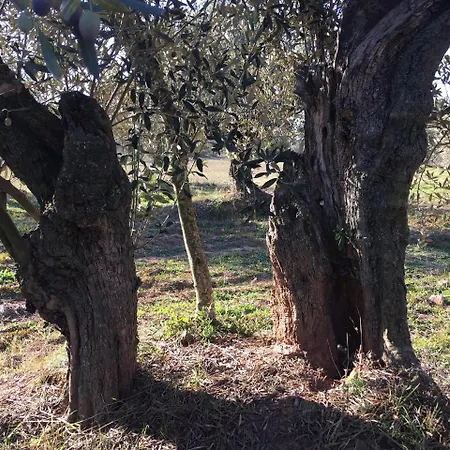 Hotell Cal Segudet Castellnou de Bages
